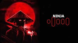 Fusion Cube Music   Ninja Free No Copyright Music [ YLM ] #ylm #music #nocopyrightmusic #song