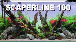 Oase ScaperLine 100 live aquascaping session timelapse @De Wase Aquarium & Vijverwinkel