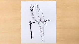 simple pencil shading pencildrawing/parrot drawing