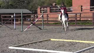 Teach your horse flying changes with Yazmin Pinchen | Horse&Rider