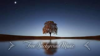 1 Hour Upbeat Background Music Best MBB Music Collection Free Download No Copyright 108