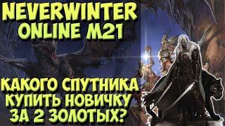 Какого Спутника Купить Новичку За 2 Золотых? | Neverwinter Online | M21