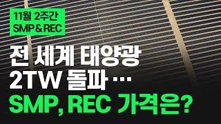 전 세계 태양광 2TW 돌파했지만 SMP, REC 가격은? | 24년 11월 2주 태양광 SMP & REC 가격 동향 | 해줌