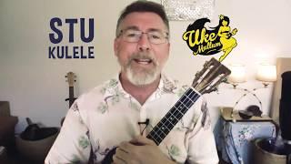 Ukulele Lessons Online and Live with Stukulele