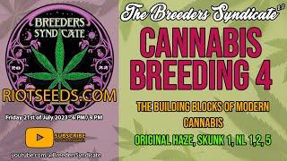 Cannabis Breeding 4 Base Lines for Modern Breeding NL Haze Skunk1 OG Kush Urkel Cookies S08 E12