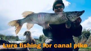 Lure fishing for pike on the Gloucester canal. Landed a double!