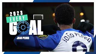 Every Joao Pedro Goal In 2023! 