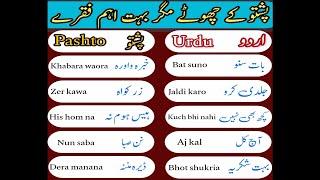 Pashto basic phrases for beginners | daily routine sentences in pashto | learn basic pashto in urdu