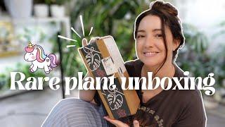 The Cutest Unicorn Rare Plant Unboxing  | RPF 