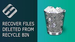  How to Recover Files Deleted From Windows Recycle Bin or With Shift + Del in 2021 ️