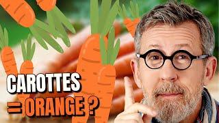 Pourquoi les CAROTTES sont oranges !? 