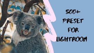 how to get free preset/500+ free preset for lightroom