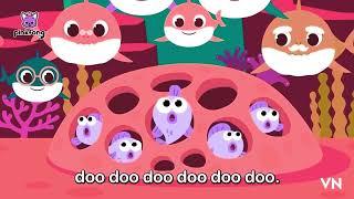 Baby shark song parody |Pinkfong |cocomelon |clap clap cha cha