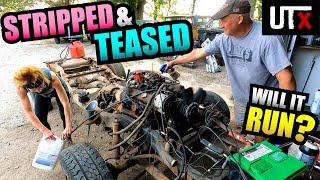 STRIPPED & TEASED - Will This SBC 350 RUN AGAIN? - UTX