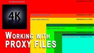 Working with Proxy files for 4K | Shanks FX | PBS Digital Studios