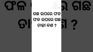 odia dhaga dhamali prasna|odiagk|odia dhaga katha|tricky question|clever questions|funny questions