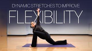 Dynamic Stretches to Improve Flexibility