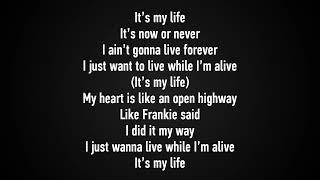 Bon Jovi - It's My Life Karaoke (with Back Vocal)