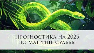 МАТРИЧНЫЙ ПРОГНОЗ на 2025 ГОД от ЮЛИАНЫ ЛИСОВСКОЙ