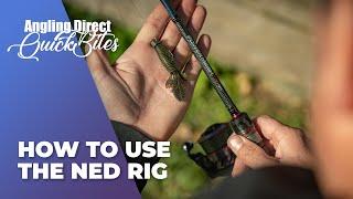 How To Use The Ned Rig - Predator Fishing Quickbite