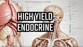 Overview Of The Endocrine System USMLE High Yield for Step 1 and Step 2 CK