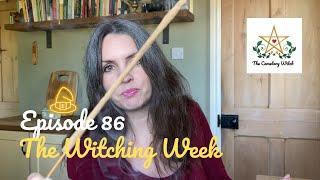 Episode 86 - The Witching Week | 09 Aug - 16 Aug | Stromness Labradorite, The Perseids, Baby Pigeon