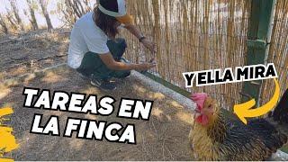 Arreglo la PUERTA bajo la supervisión de la GALLINA.Tareas con calor en la FINCA ABANDONADA. Vlog130