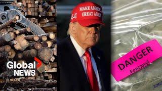 Trump hikes lumber tariffs over fentanyl despite less than 1% crossing from Canada