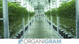 Inside Organigram: A Cannabis Licensed Producer in Canada