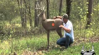 Bow Shooting Tips, How to Shoot Your Bow More Accurately