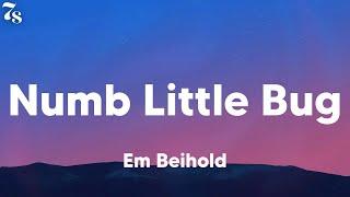 Em Beihold - Numb Little Bug (lyrics)