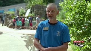 Education Programs at the Zoo