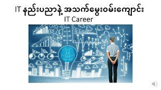 Information Technology Career (In Burmese)