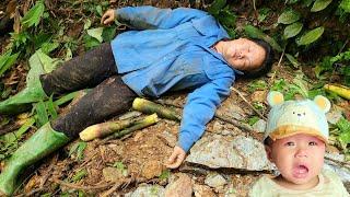 A Single Mother Suddenly Had An Accident While Going Into The Forest To Harvest Bamboo Shoots