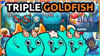 TOP 1 Triple GOLDFISH Build - Challenger 1910 | Axie Origins