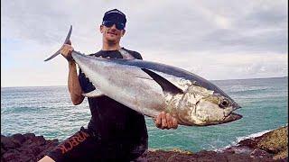 Drone Fishing For Tuna Northern NSW