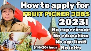 Work in Canada as a “Fruit picker” or “vegetable picker”… | With free visa sponsorship!