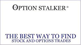 Option Stalker Finds Great Trades - Here's How It Works