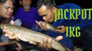 JALA IKAN MALAM HARI | POK HIM | MAZMIE MAZMUMAH MAHMUDAH