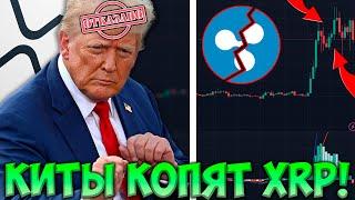 XRP УЖЕ $2,32! Трамп отвернулся? Киты СПАСАЮТ Ripple!