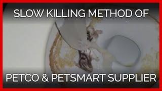 Slow Killing Method Found at Petco, PetSmart Supplier