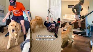 Dog Won"t Let His Family Work Out