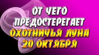 От чего предостерегает Охотничья луна 20 октября 2021 года / Полнолуние в октябре