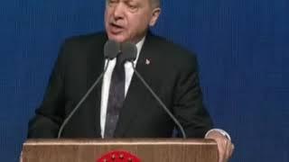 Erdogan Berkisah Tentang Hulagu Khan & Kekalahan Muslim di Baghdad