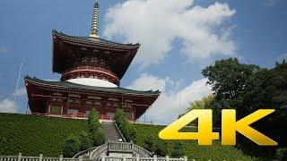 Chiba Naritasan Shinshoji Temple - 成田山 - 4K Ultra HD