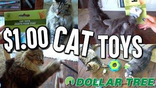 BEST DOLLAR TREE CAT TOYS!! MY CATS TEST $1 CAT TOYS