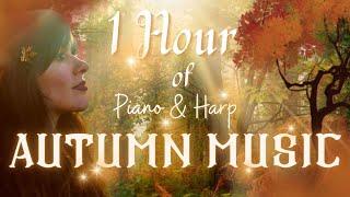 Autumn Magic  1 Hour of Relaxing Music in an Enchanted wood  By Alwyn Oak