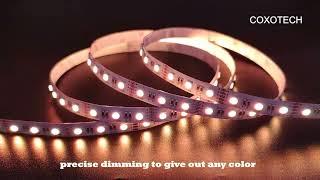 4 in 1 5050 RGBW LED Strip Light 12V 24V