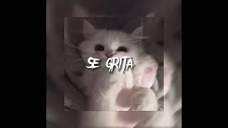 Se Grita - Morad & Jul - Speed up | jxvnav