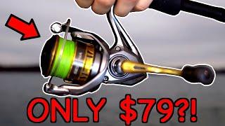 I Found the BEST Spinning Reel on the Market!